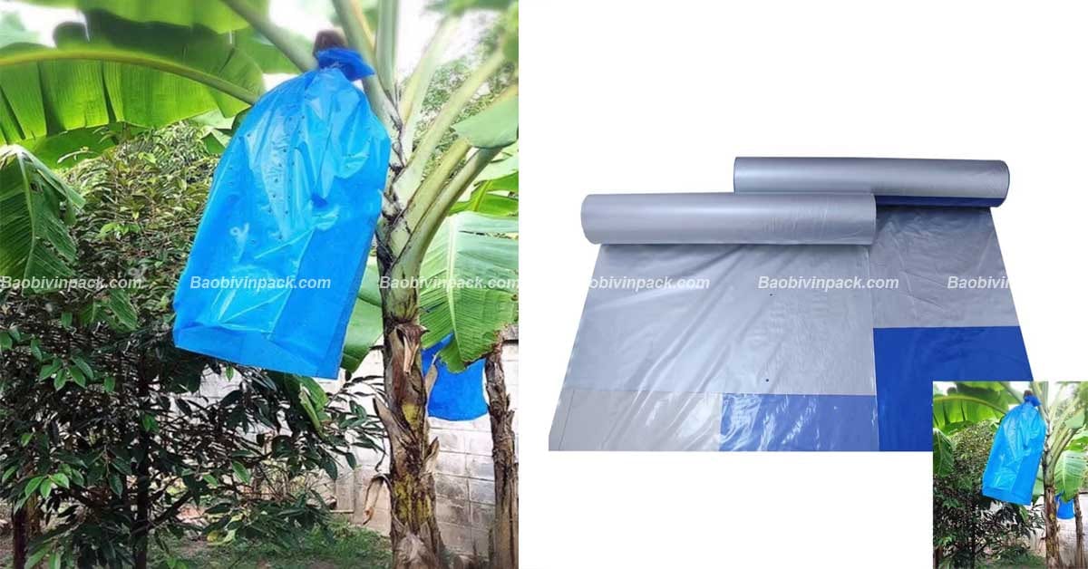 Chất liệu túi bọc buồng chuối