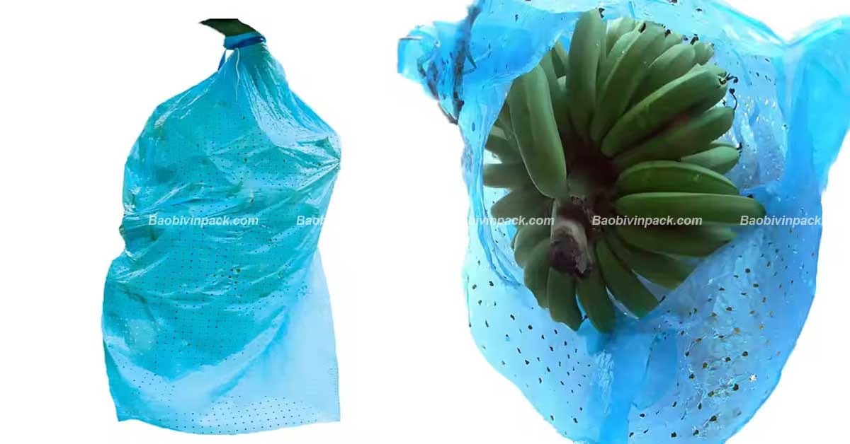 Phân loại túi bọc buồng chuối