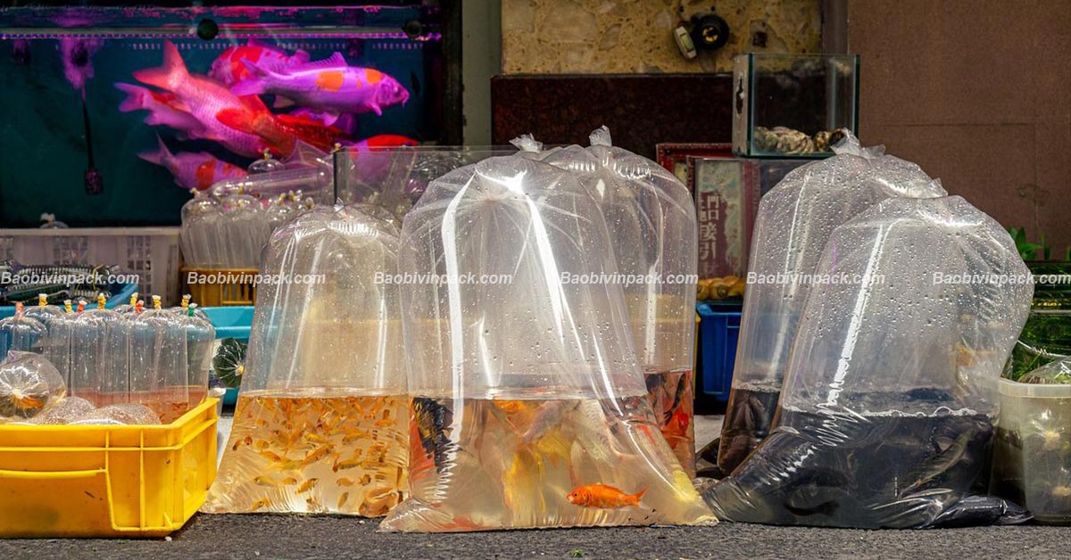 Túi đựng cá cảnh Vinpack