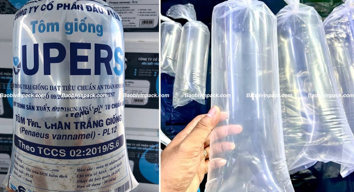 tui-dung-thuy-san (1)