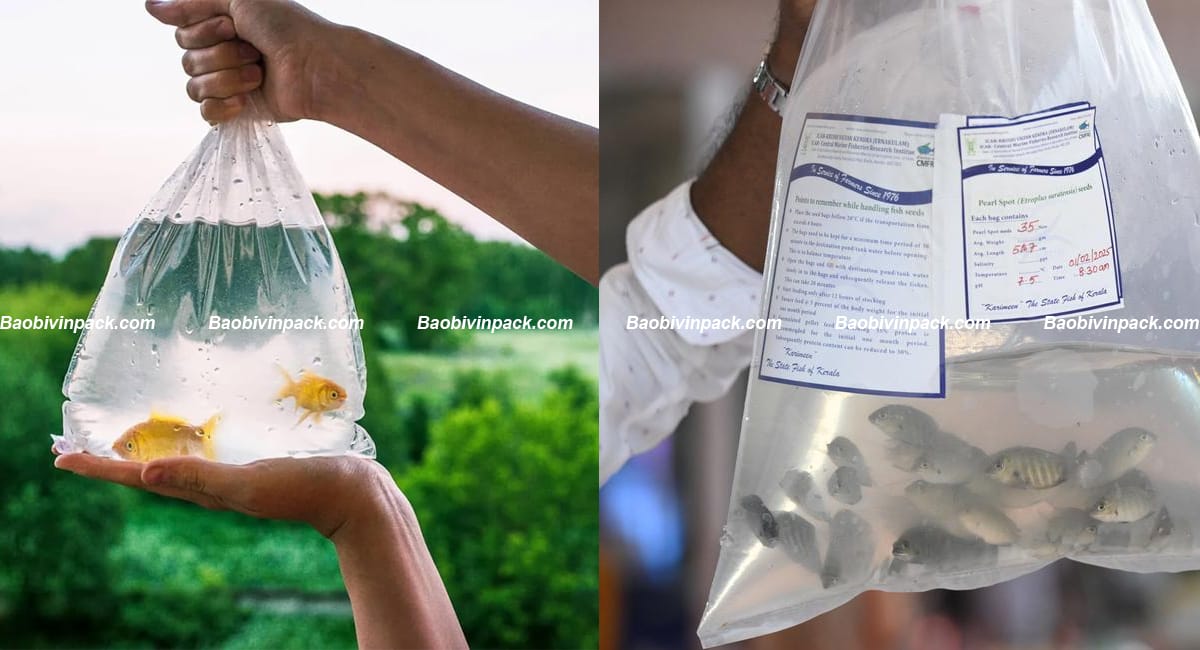 tui-dung-thuy-san (1)