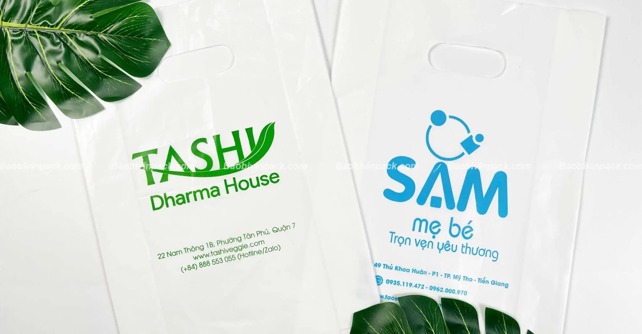 Một số mẫu túi hột xoài HD