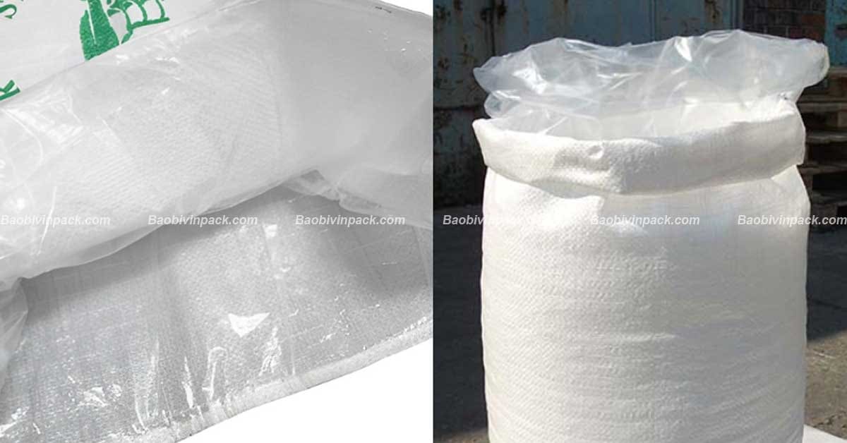 Túi lồng bao là gì?