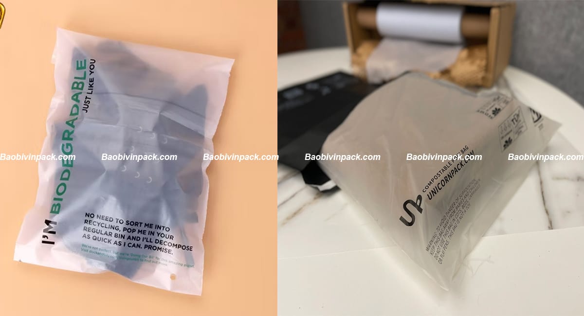 tui-pe-dan-mieng (6)