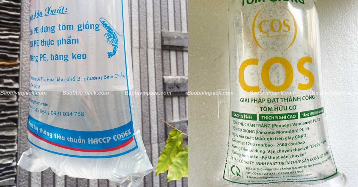 Đặc điểm nổi bật của túi đựng tôm giống