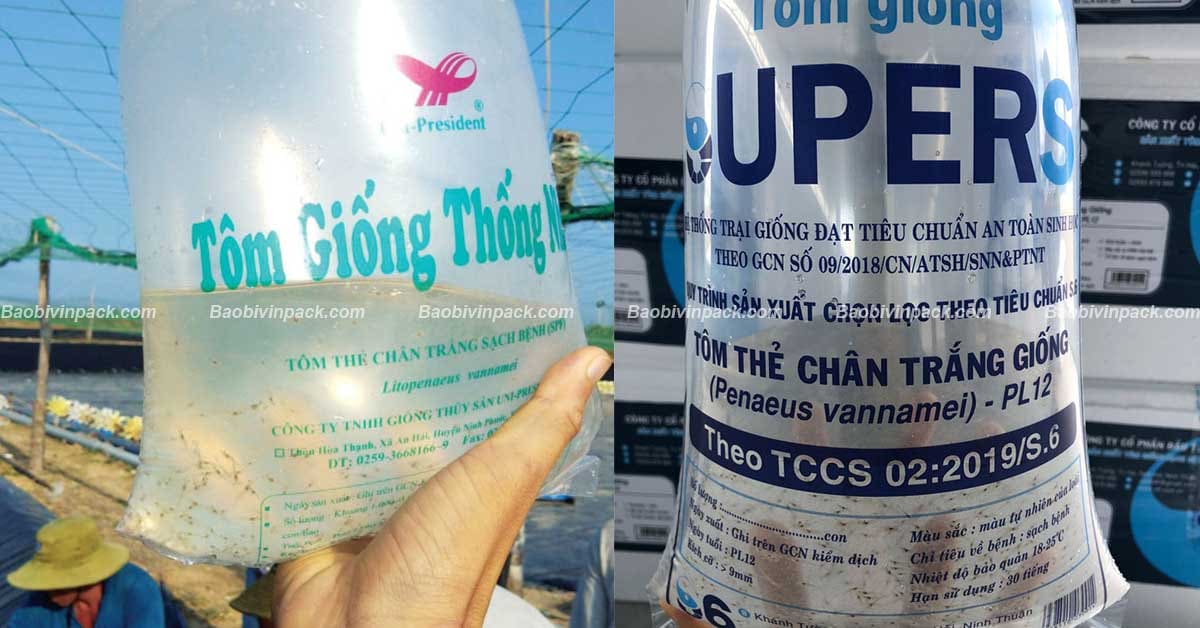 Túi đựng tôm giống là gì?