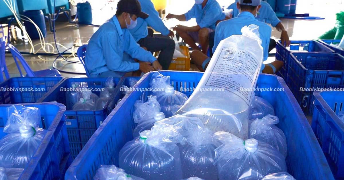 Ưu điểm của túi đựng tôm giống