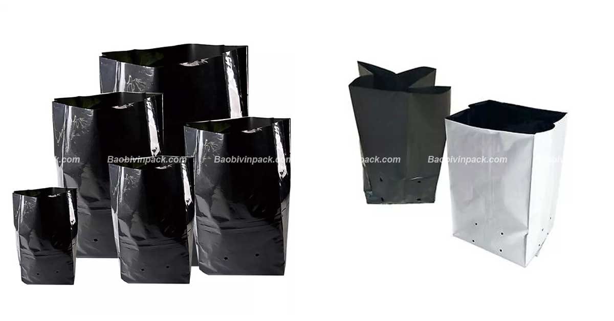 Giới thiệu nhóm trồng cây cà phê