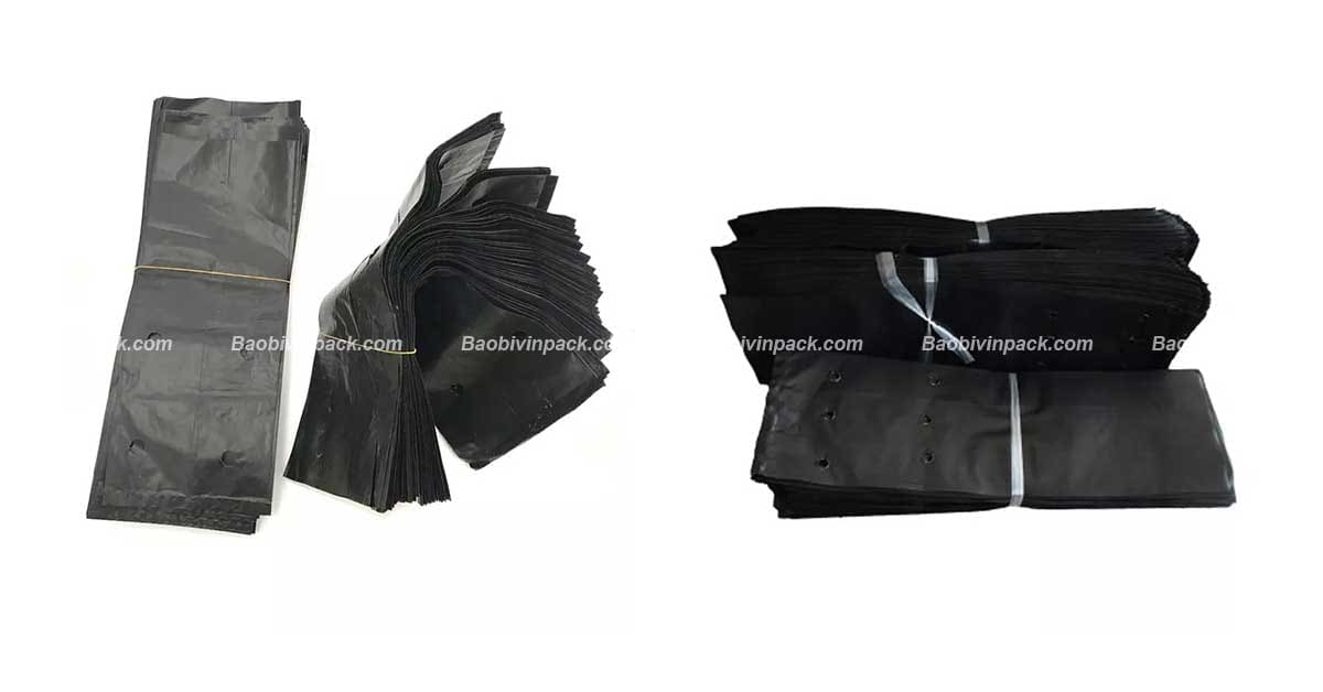 Công dụng của túi ươm trồng cây cà phê