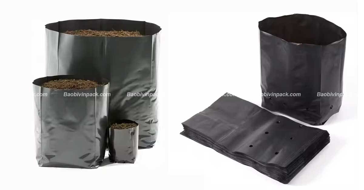 Túi trồng cây cao su - 8