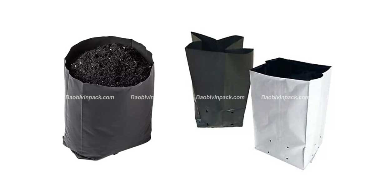 Túi trồng dưa lưới là giải pháp tiện lợi cho canh tác nông nghiệp hiện đại, phù hợp mọi không gian trồng