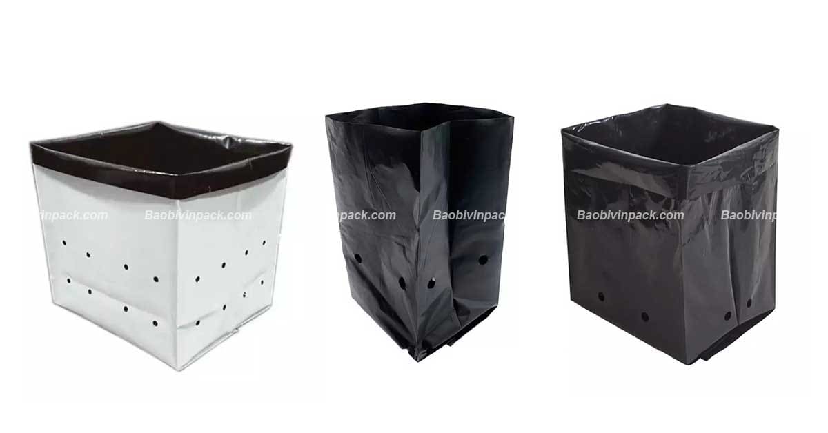 Chất liệu làm túi trồng gừng