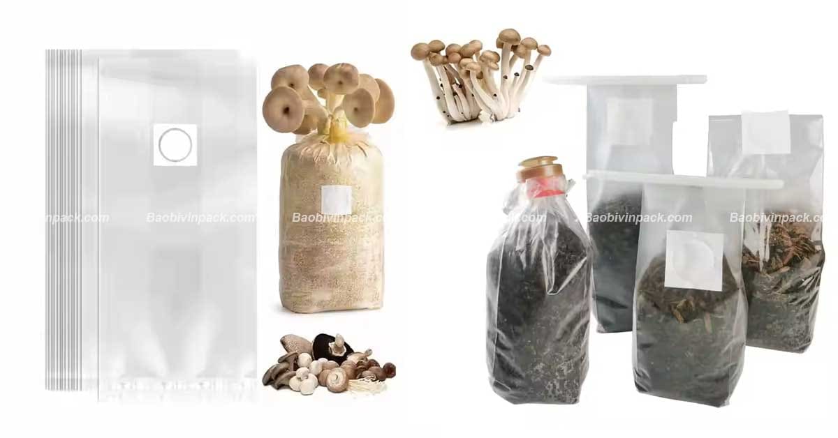 Túi trồng nấm là sản phẩm chuyên dụng hỗ trợ nuôi trồng nấm hiệu quả