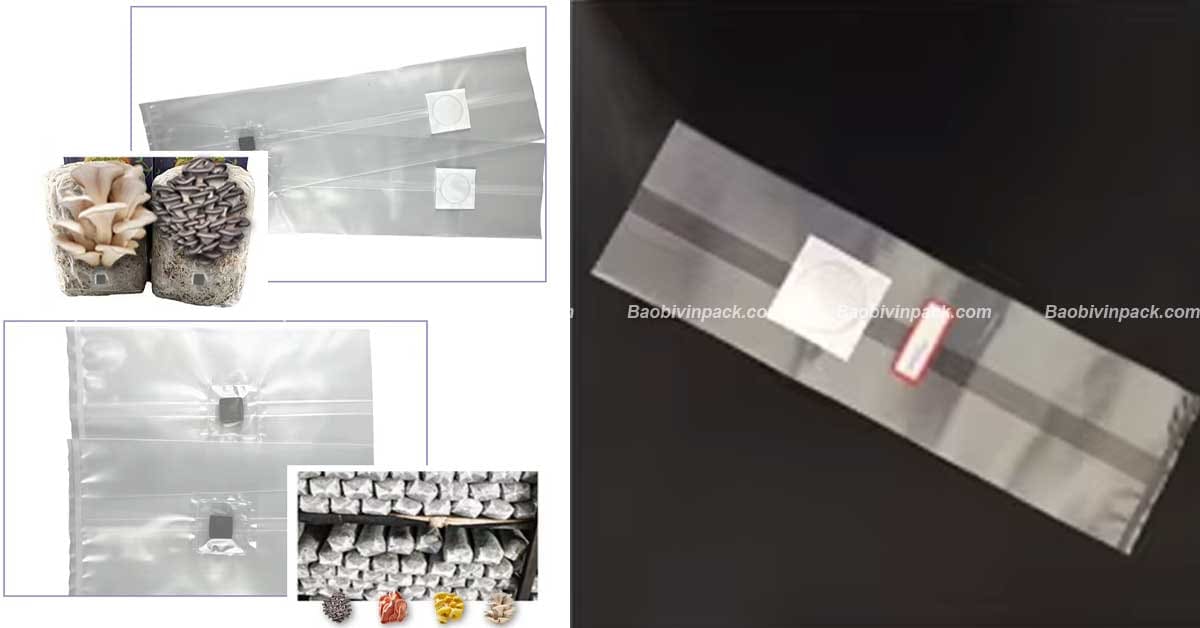 Túi có kích thước đa dạng, miệng túi linh hoạt, dễ sử dụng