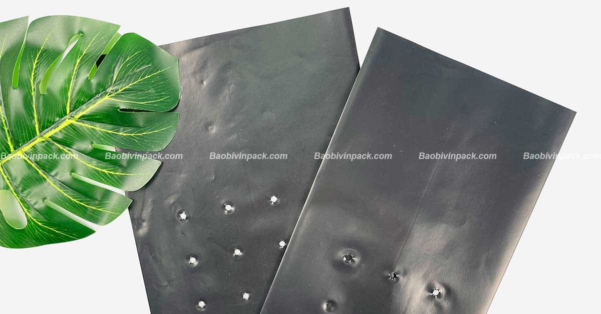 Màu sắc túi ươm cây 2 lớp da