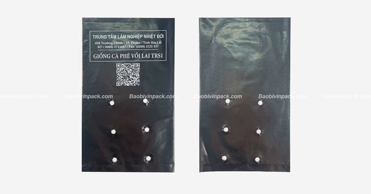 Túi ươm cây 2 da là gì?