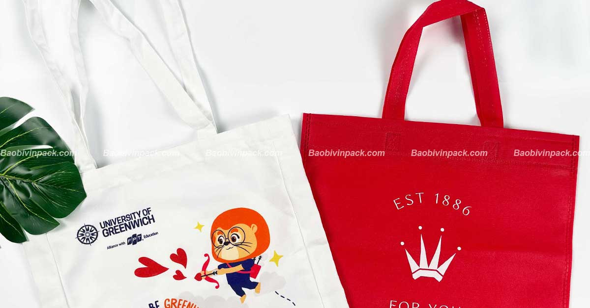 túi vải đi học thêm - 11