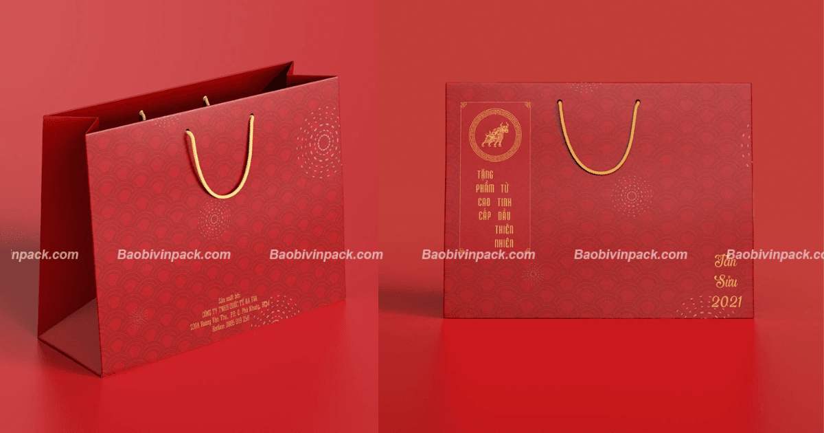 tui-giay-dung-qua-tang (4)