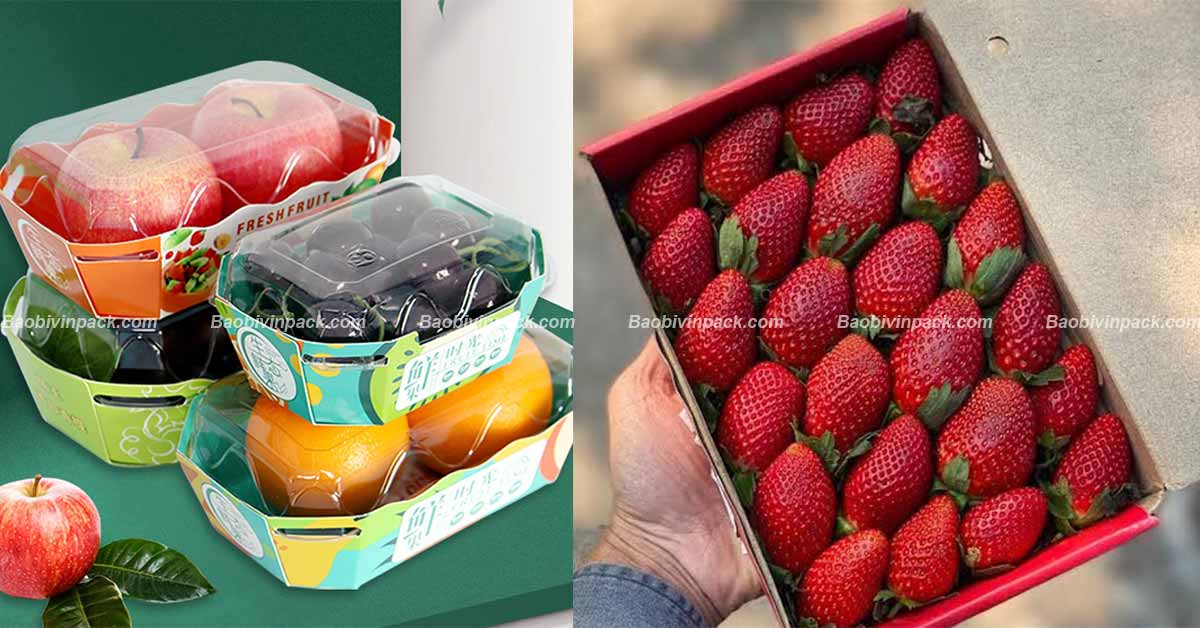 Khay giấy đựng hoa quả Vinpack