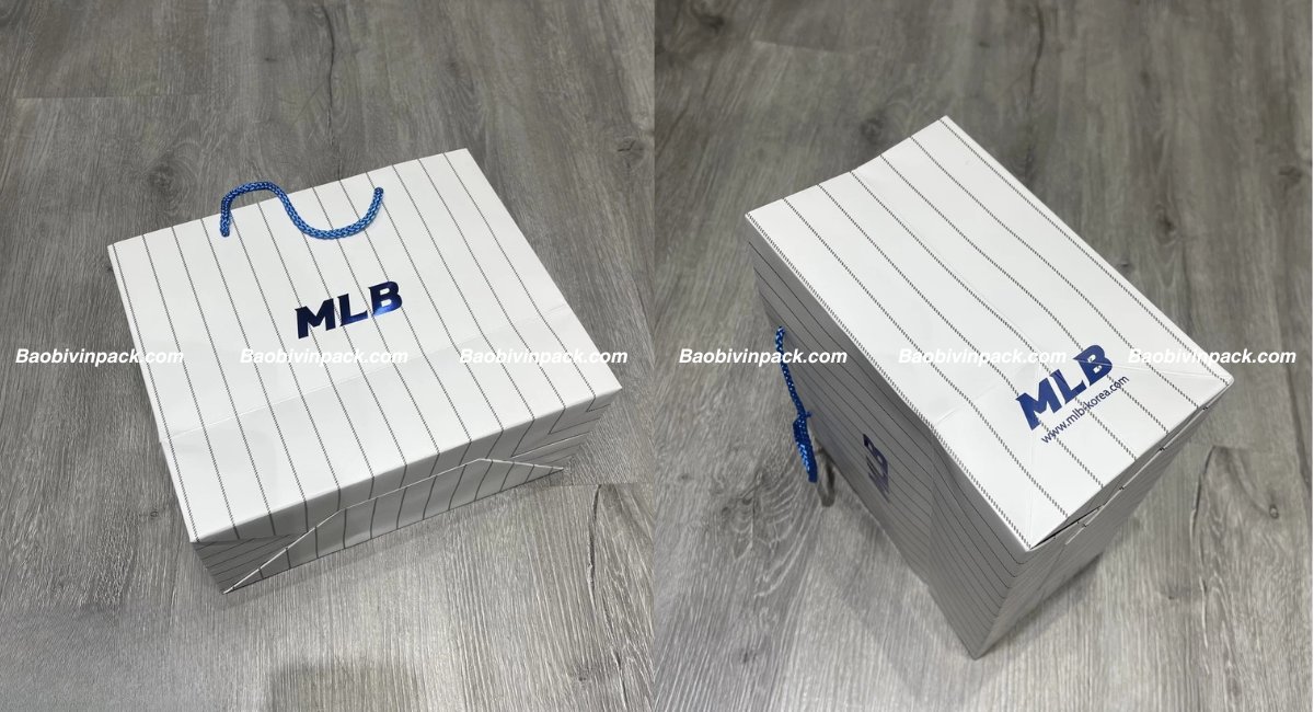 Túi giấy đựng giày