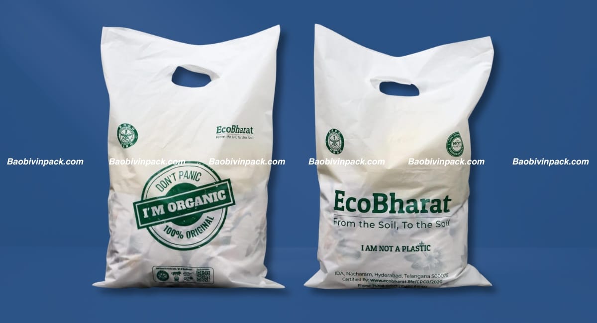 Túi hột xoài tự hủy