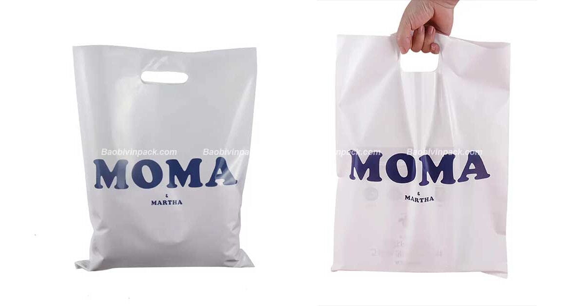 túi hột xoài tự hủy - 5