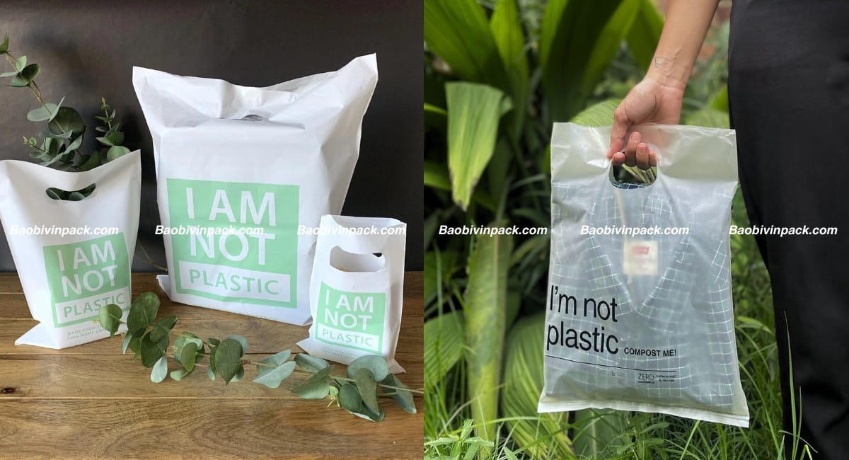 Túi hột xoài tự hủy