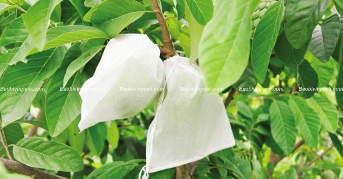 Túi vải bọc ổi - 2