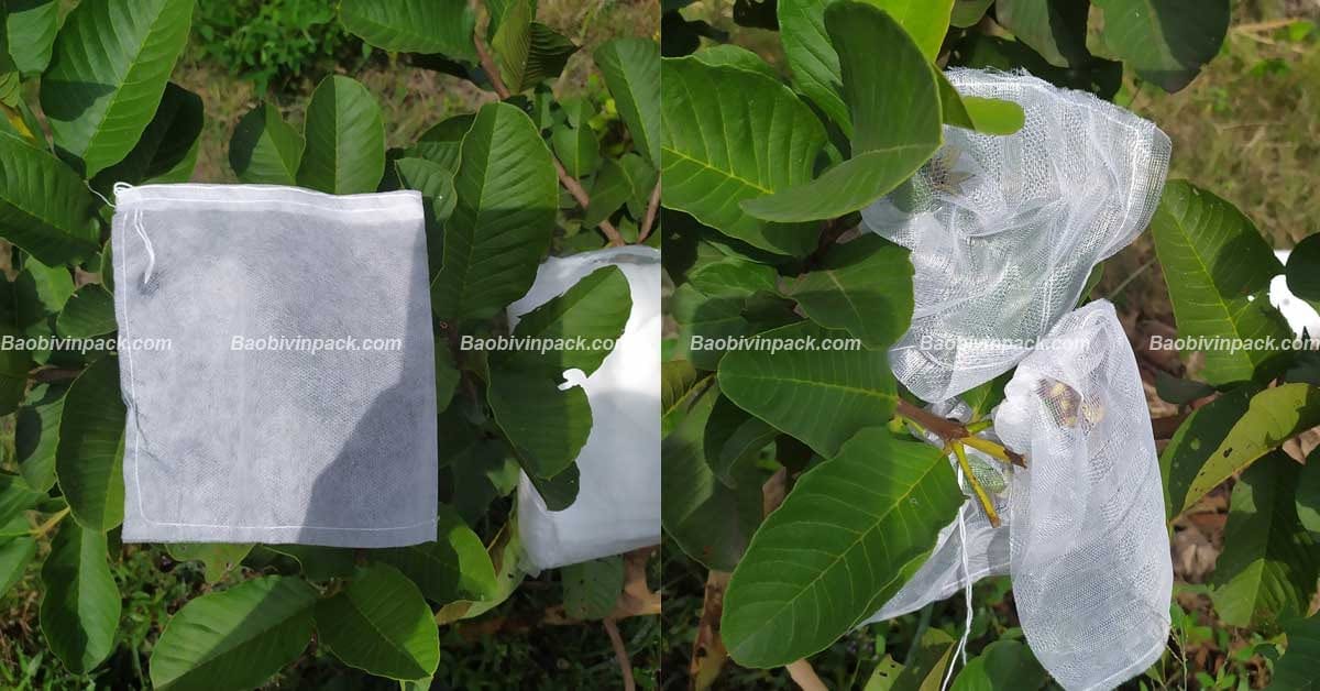 Túi vải bọc ổi - 8