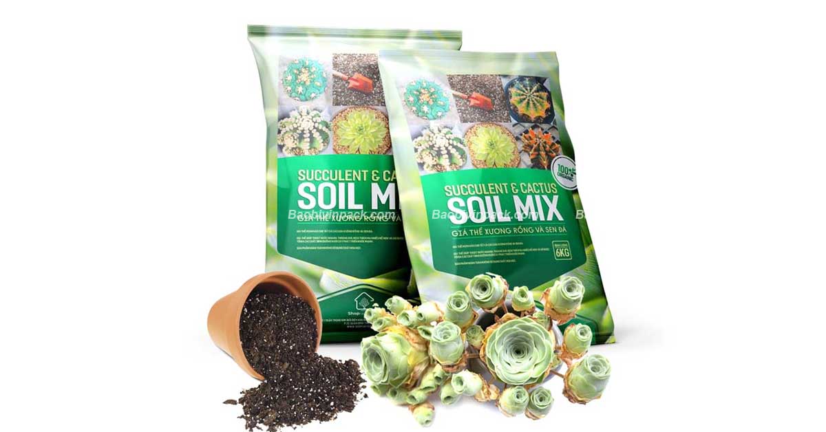 Bao bì giá thể - 7