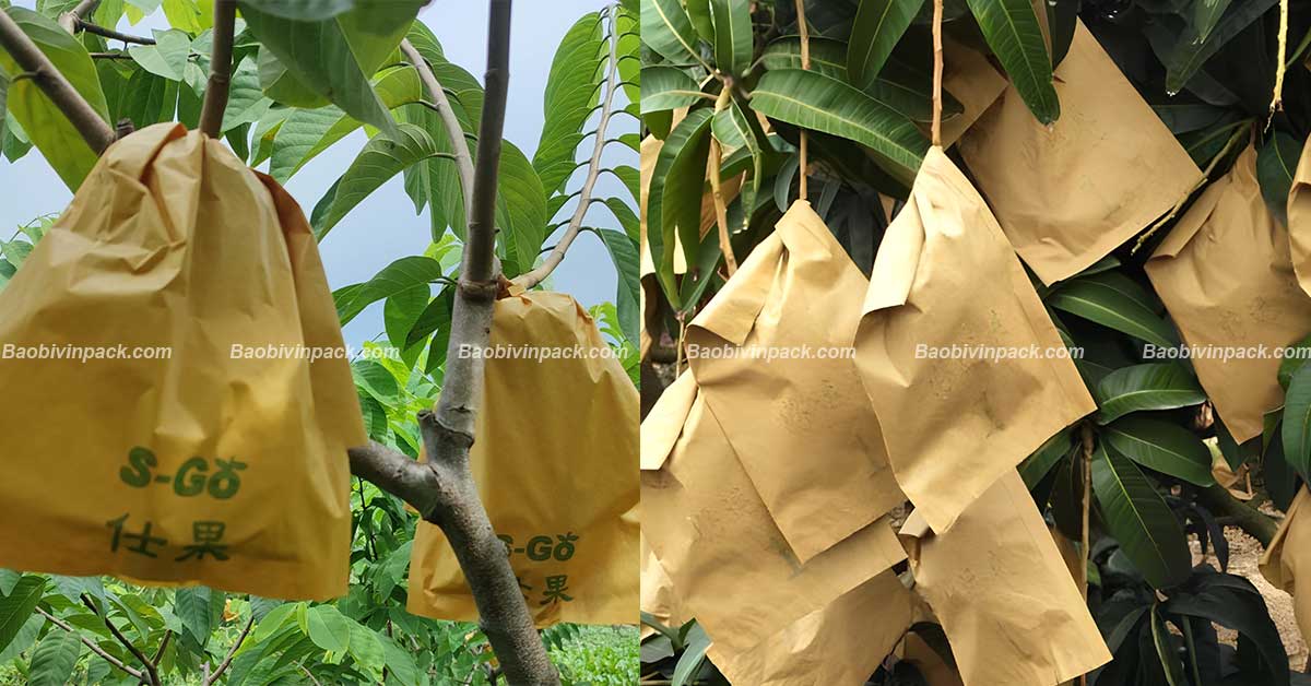 Túi giấy bọc trái cây Vinpack