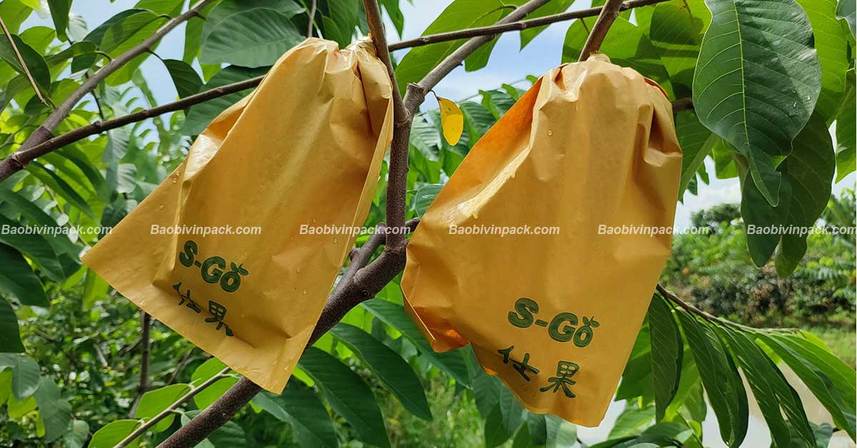Túi giấy bọc trái cây Vinpack