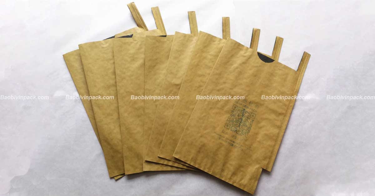 Túi giấy bọc xoài - 2
