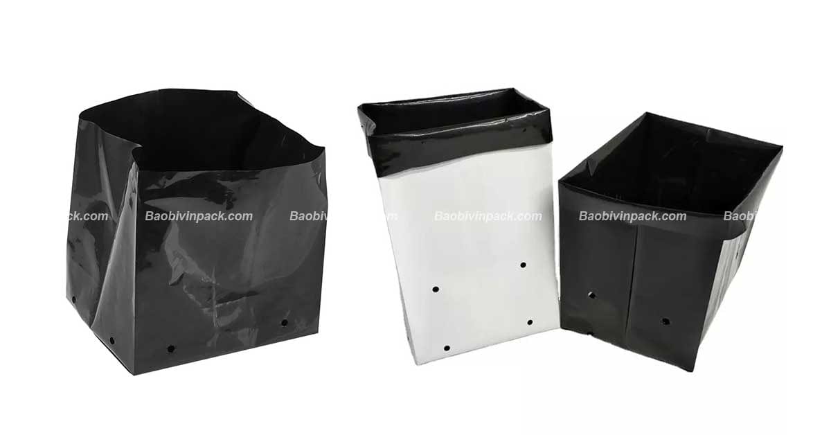 Túi Ruột Cây Giống - 3