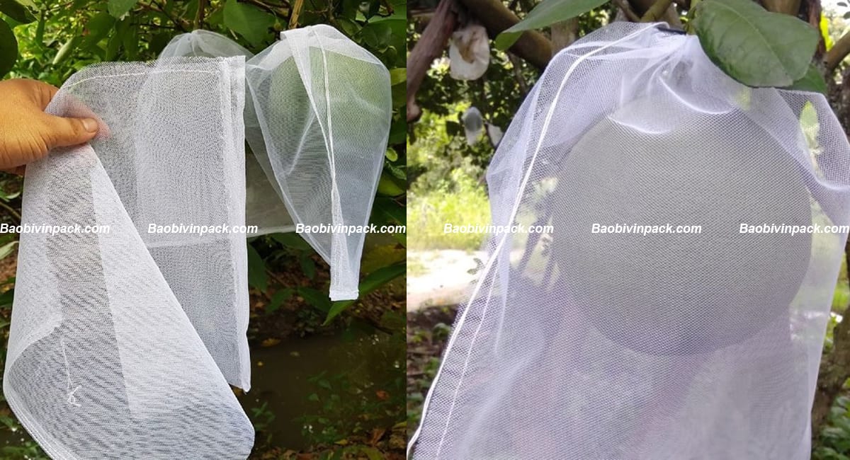 tui-vai-boc-buoi (3)