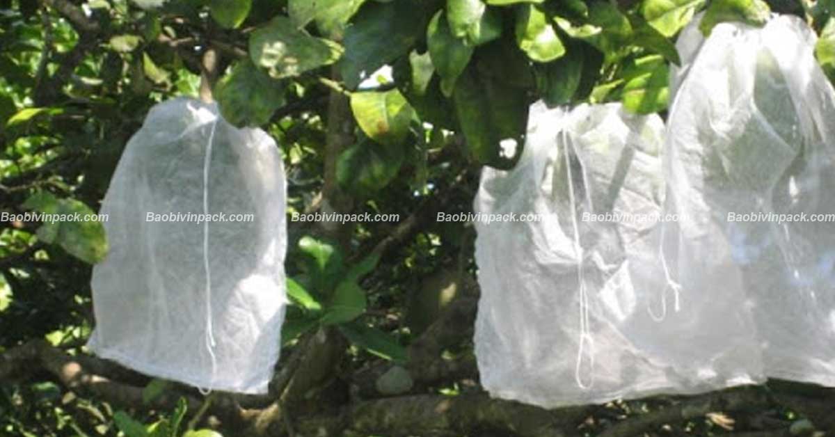 túi vải bọc bưởi - 3