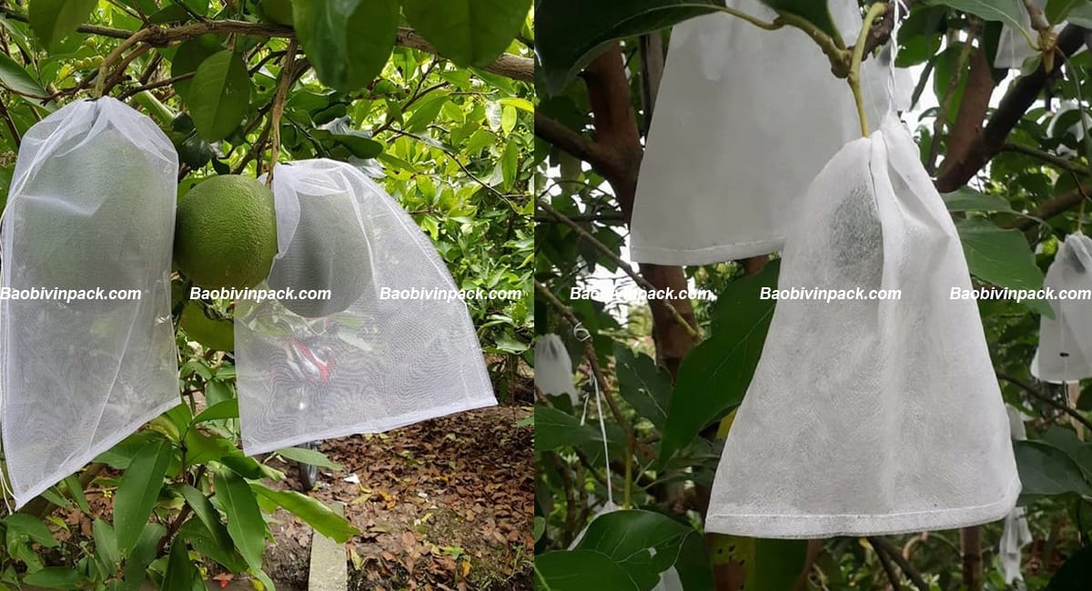 tui-vai-boc-buoi (4)