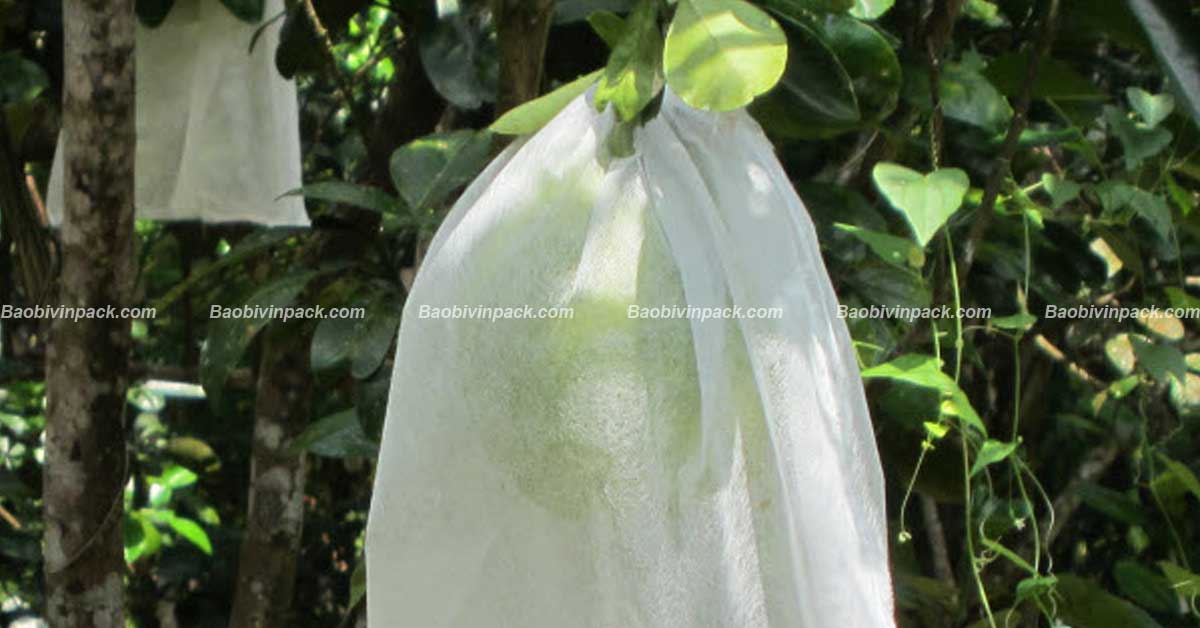 túi vải bọc bưởi - 6