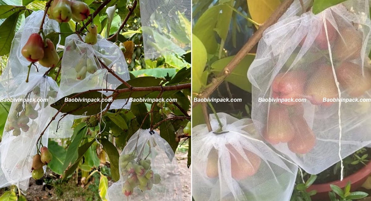 tui-vai-boc-trai-cay (2)