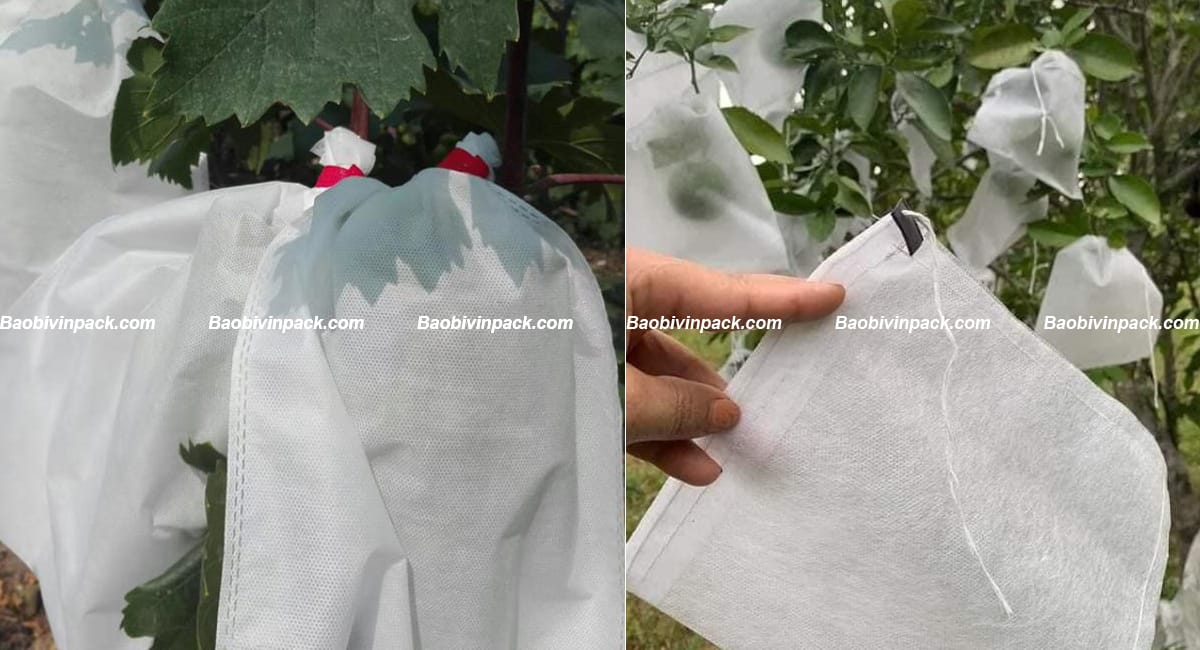 tui-vai-boc-trai-cay (2)