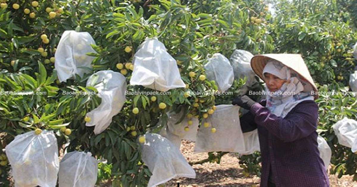 túi vải bọc trái cây - 2