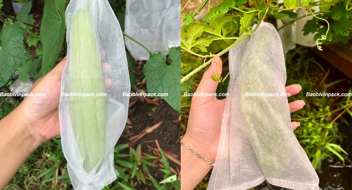 tui-vai-boc-trai-cay (3)