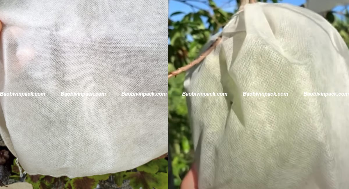 tui-vai-boc-trai-cay (4)