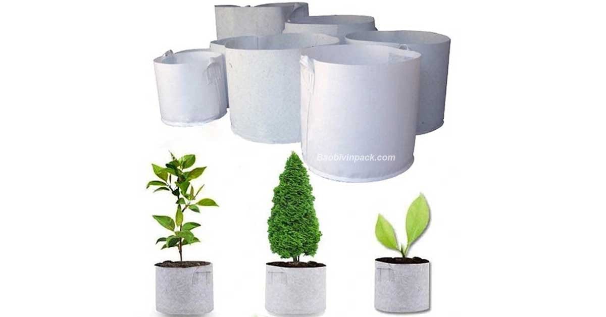 túi vải không dệt trồng cây - 2