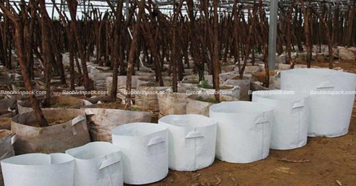 túi vải không dệt trồng cây - 4