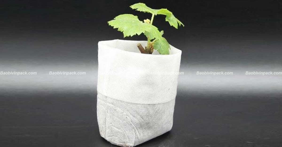 túi vải không dệt ươm cây - 2