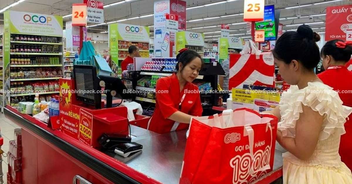 Túi vải siêu thị - 10