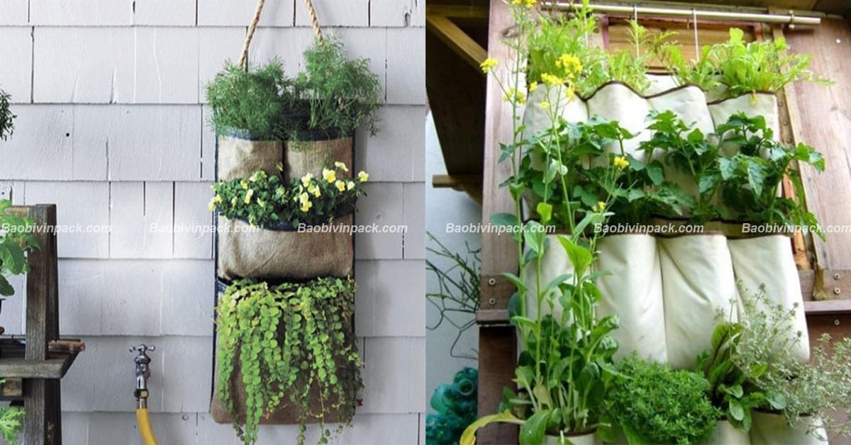 Túi vải trồng cây treo tường Vinpack