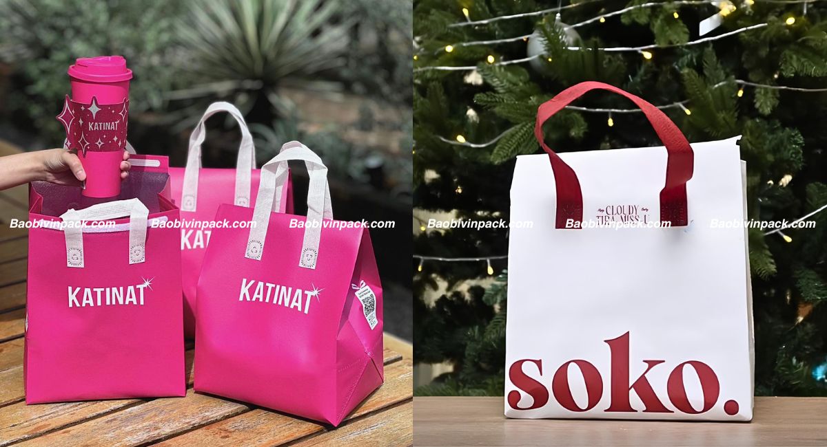 Mẫu túi vải không dệt giữ nhiệt