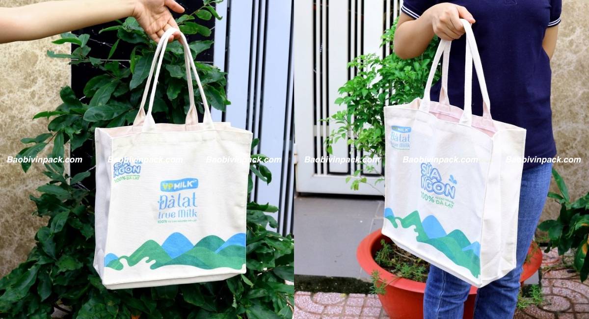 Túi vải canvas dạng hộp